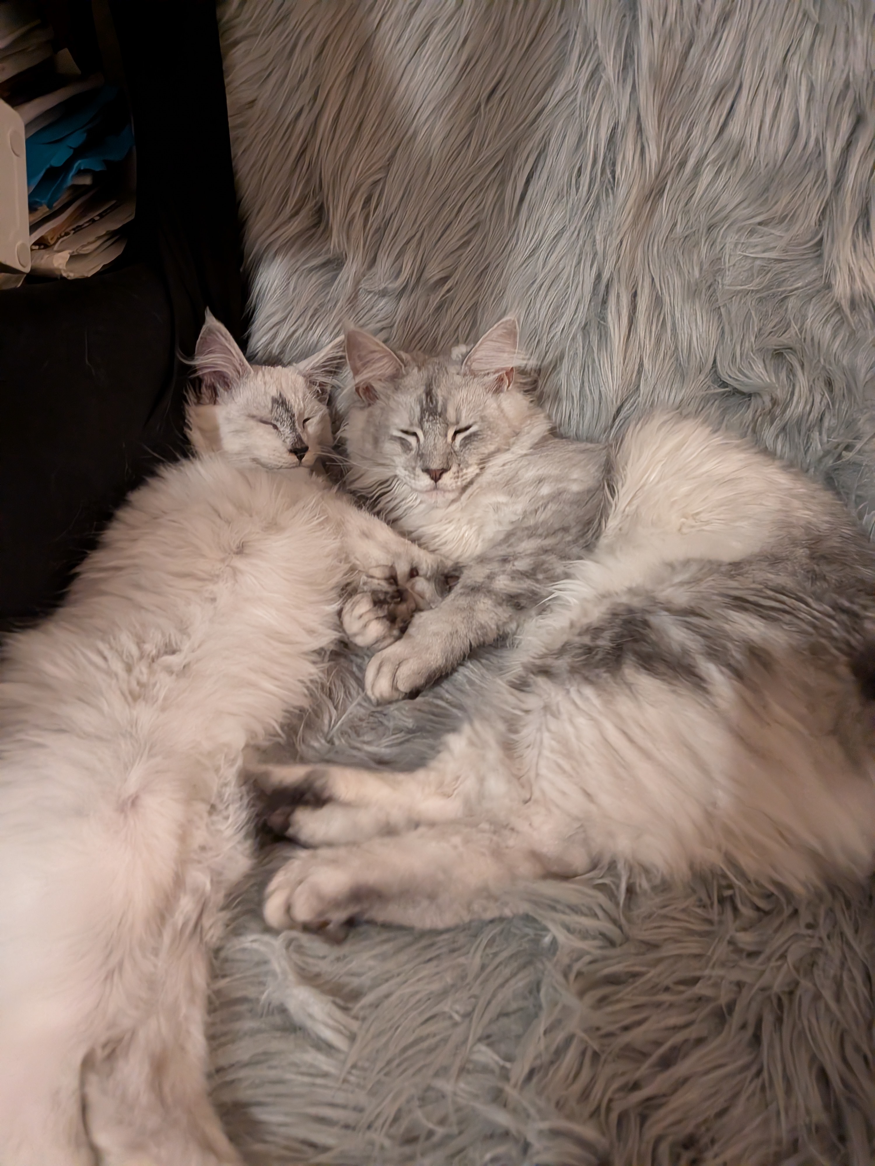 En famille
